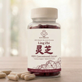 500% Concentrated Extract Ling Zhi Reishi Capsules