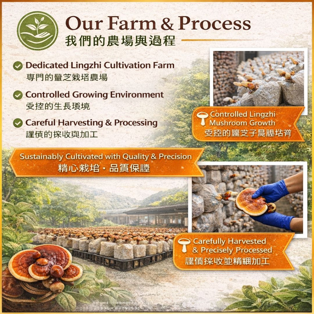 Yun Zhi cultivation farm in Taiwan with farming process and images of mushrooms.