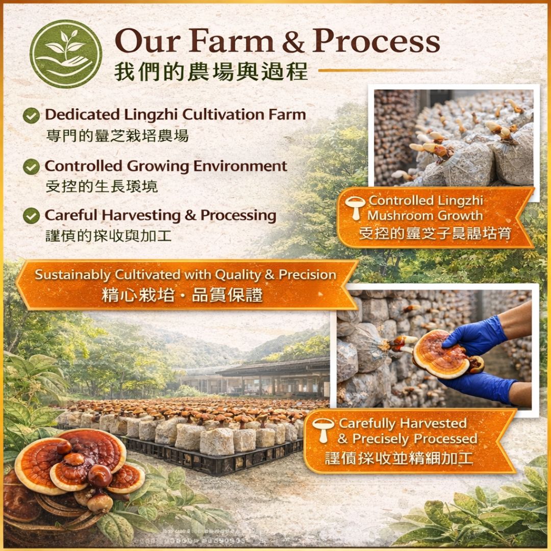 Yun Zhi cultivation farm in Taiwan with farming process and images of mushrooms.