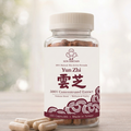 Yun Zhi Supplements - 500% Concentrated Extract - Immune Boost and Protection